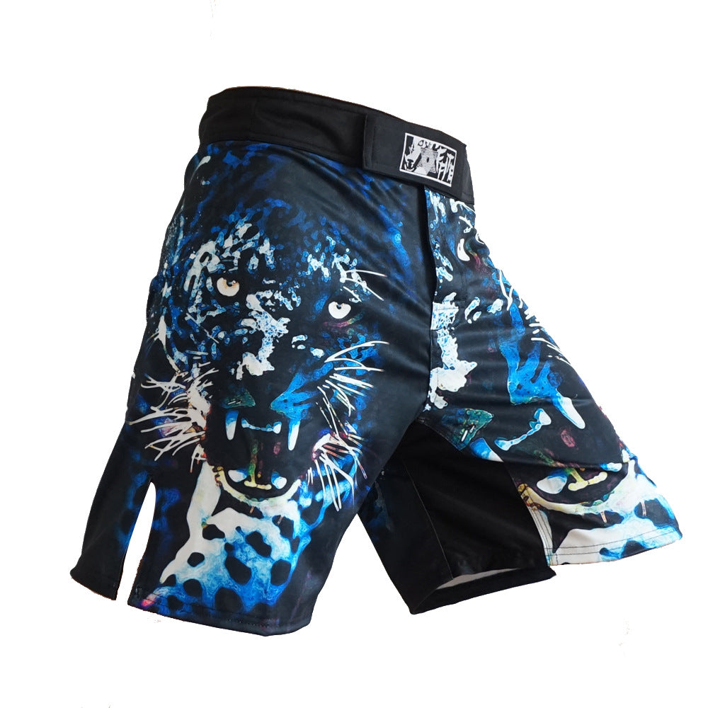 Fight training shorts